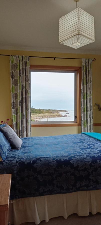 Surat Bay Lodge By The Sea/Backpackers Hostel Owaka Exterior photo
